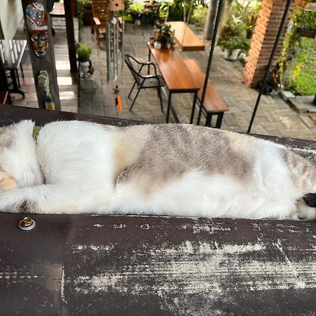 ครูหนูบ้านพัก แหลมงอบ Krunou Baanpak ترات المظهر الخارجي الصورة