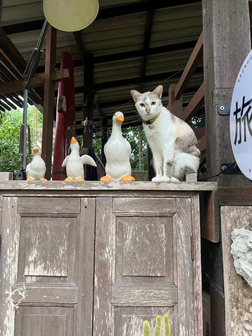 ครูหนูบ้านพัก แหลมงอบ Krunou Baanpak ترات المظهر الخارجي الصورة